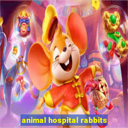 animal hospital rabbits